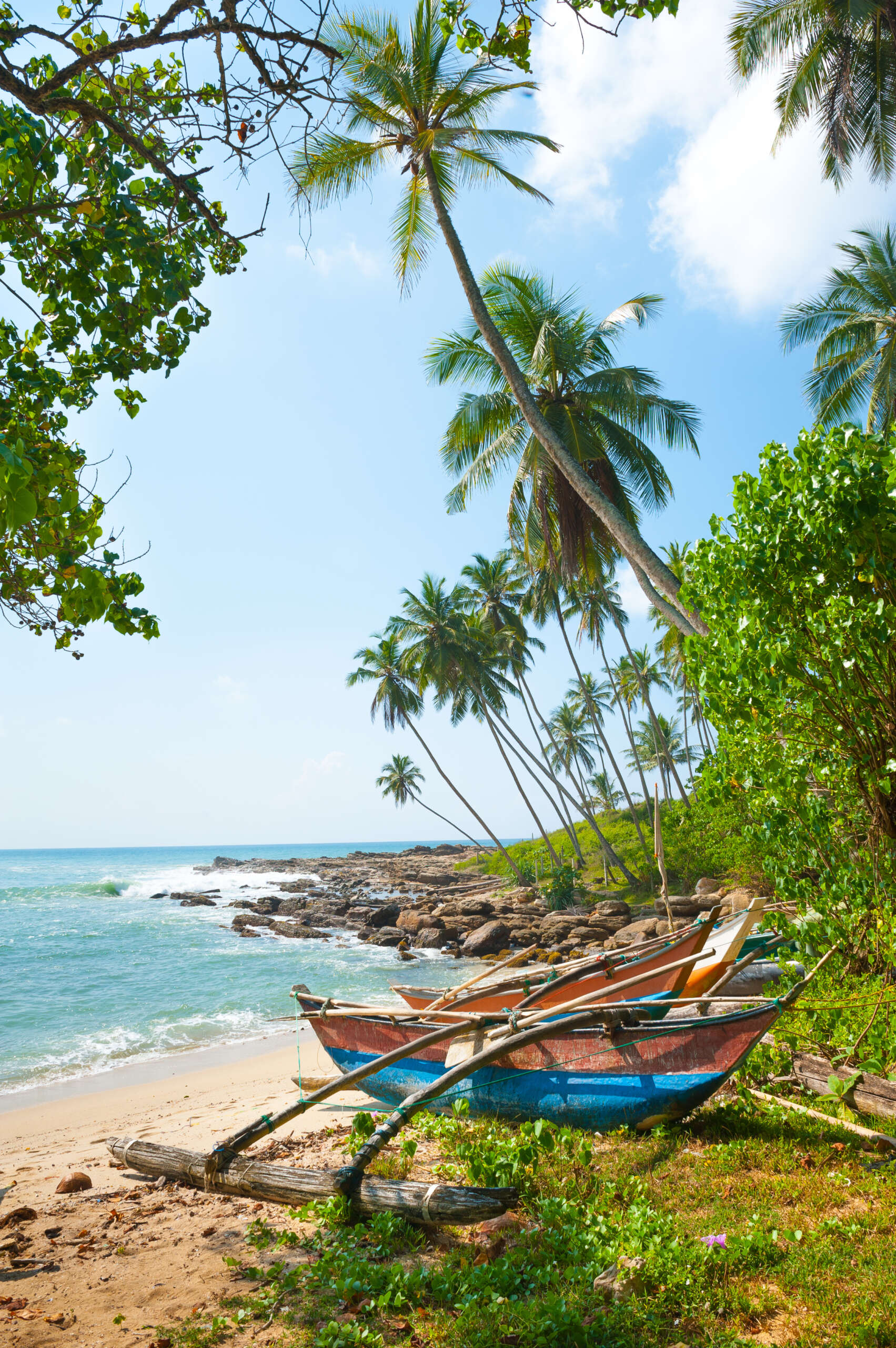Untouched tropical beach Untouched tropical beach with palms and fishing boats in Sri-Lanka